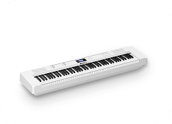 DreamPlay DS5.5 narrow keys piano for small hands